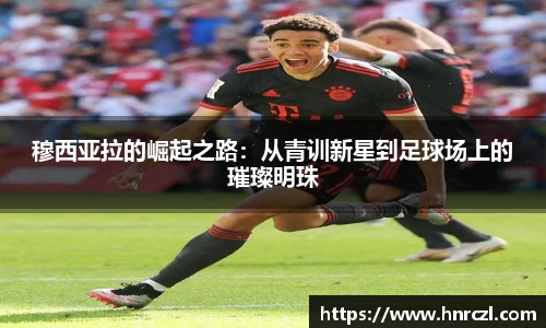 8868体育官方网站